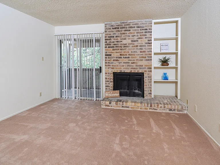 B1 - Fireplace and Built in Bookcase