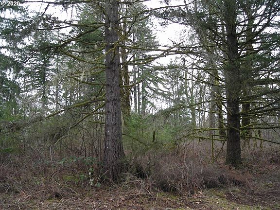 2nd image of 0 NE 174th Ct #4