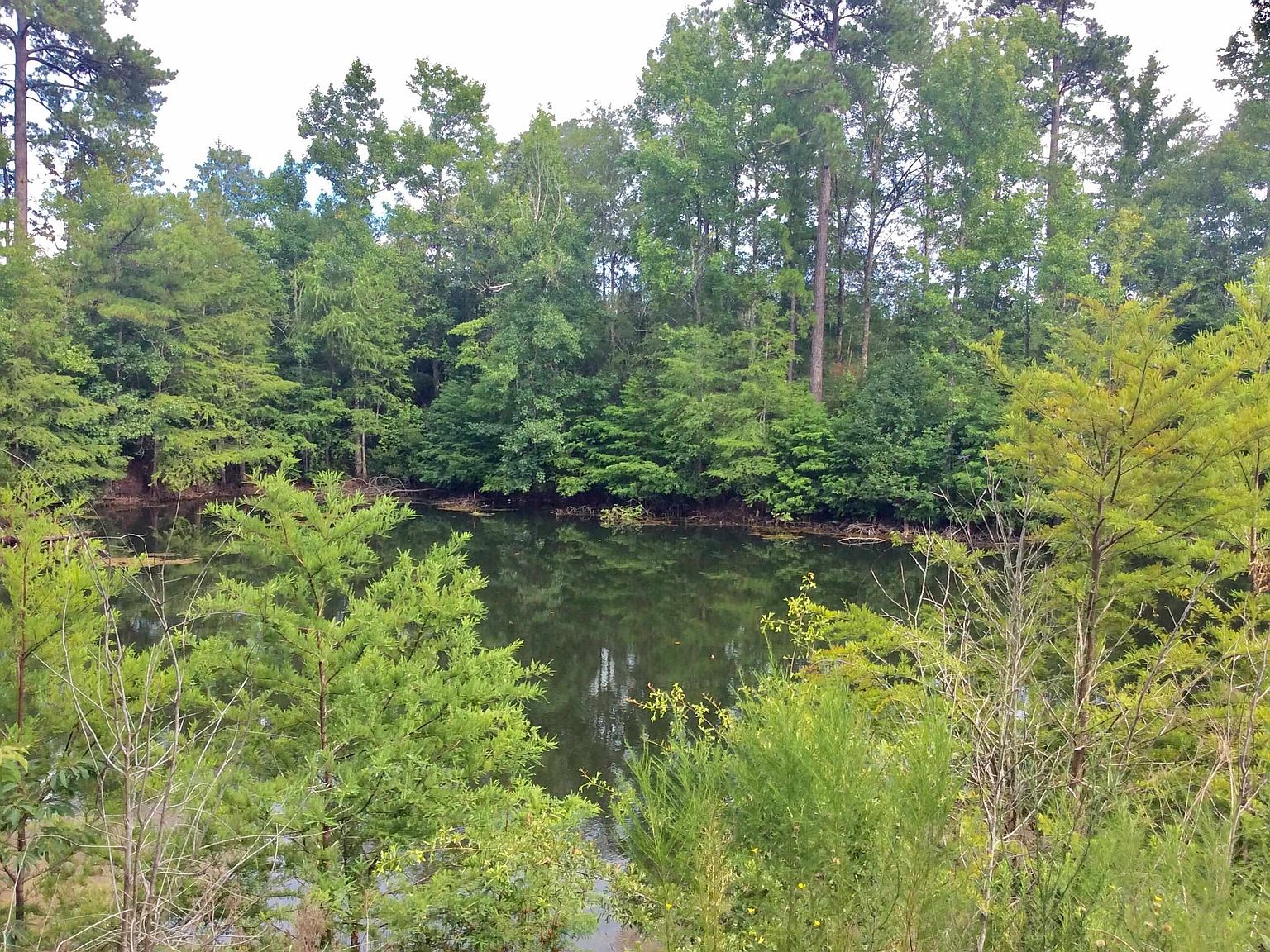 439 Private Road 6069, Newton, TX 75966 Zillow