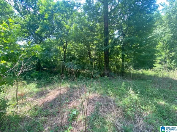 0 State Highway 511 #170, Goodwater, AL 35072