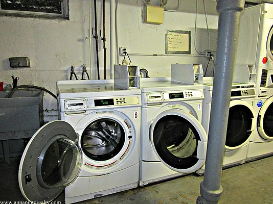 Rented by Anna Pinto Realty | media 18