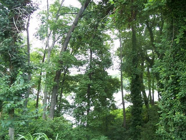 2nd image of 167 Trotters Cir Lot 6