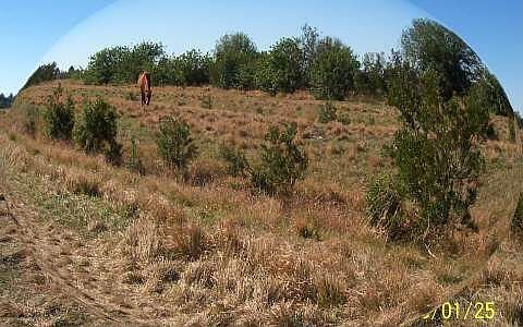 a View of the Acreage