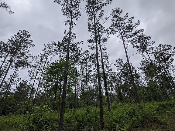 2nd image of Youngblood Rd