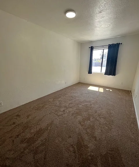 6555 Segovia Rd — Photo 24