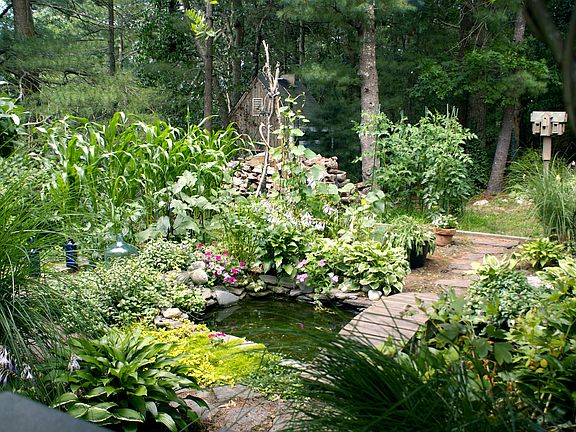 garden