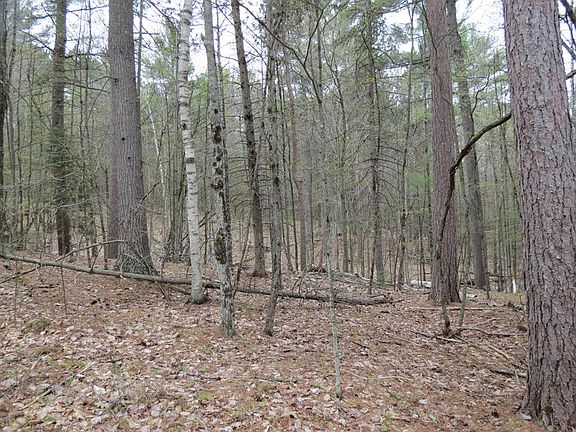 5th image of 175 Algonquin Trl