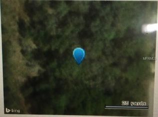 Chipstone St, Webster, FL 33597