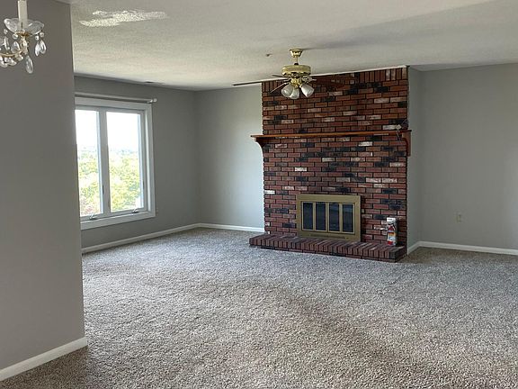 Wood burning fireplace