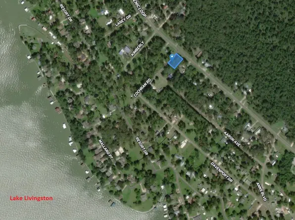 133 Ernest Cochran Rd, Livingston, TX 77351