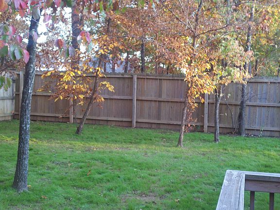 Back yard (partial)