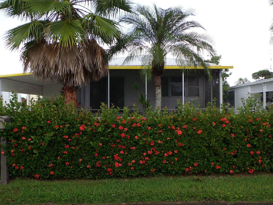 Nice Tropical Setting !