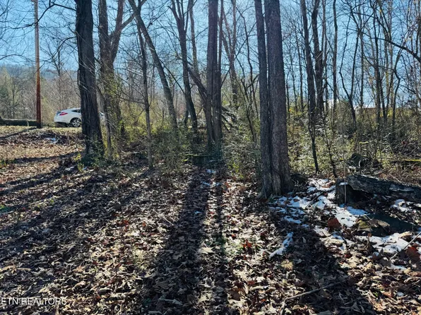 0 Pilgrim Cir Lot 1, Cosby, TN 37722