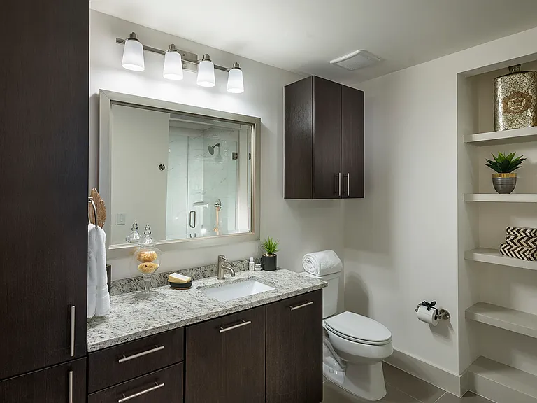 Spa-Inspired Bathrooms with Ample Storage Space