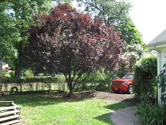 5th image of 53 Livingston Ave