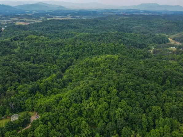 0 Looney Rd, Parrottsville, TN 37843