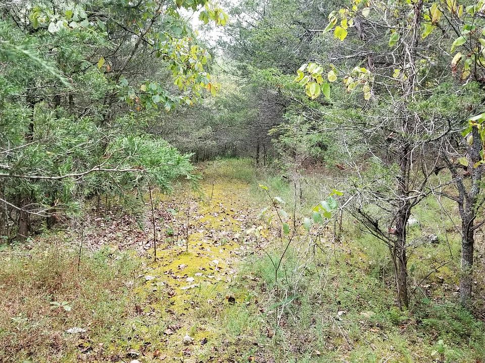 2nd image of 0 Lincoln Lake Rd