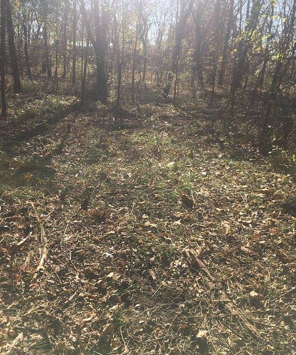 2nd image of 5343 Landmark Rd