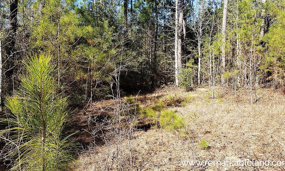 1st image of CO Rd #3267