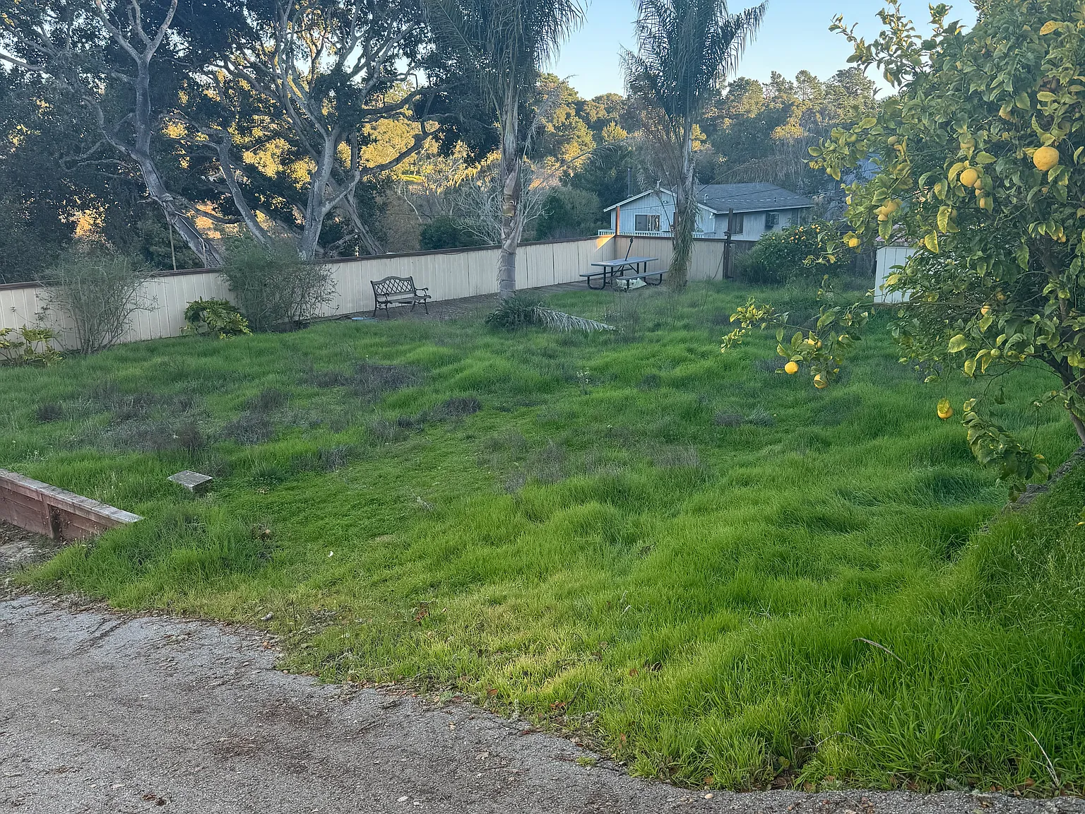 1 bed, 750 sqft, $2,500 — Photo 4