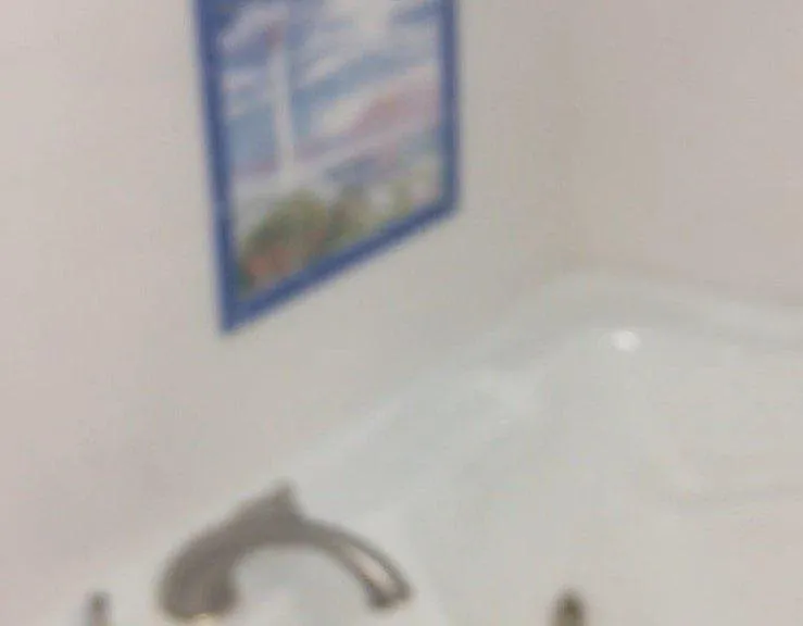 Garden tub with jets