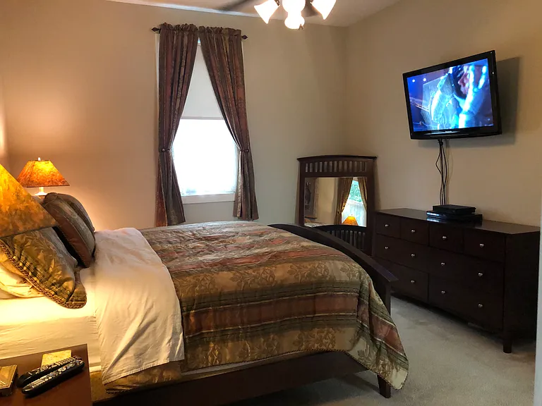 master bedroom with king size bed, walk in closet and jacuzzi tub with shower.