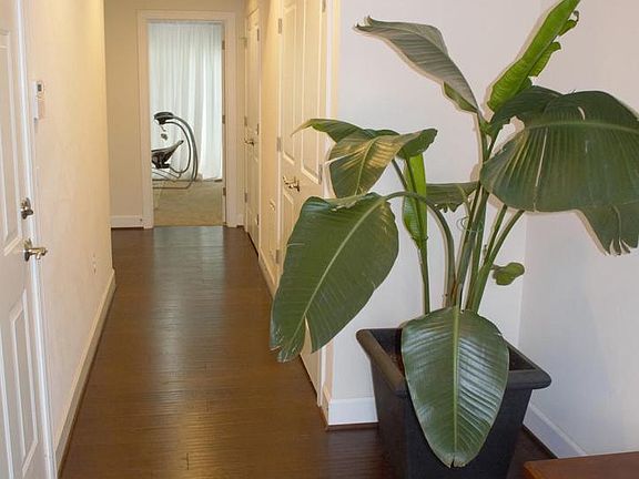 4th image of 10703 Caledonia Meadow Dr