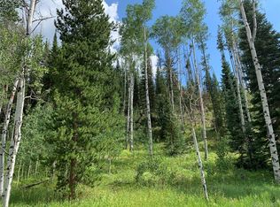 29450 Owl Dr, Clark, CO 80428