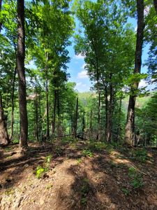 LOT 22 High Top Loop, Sevierville, TN, 37862