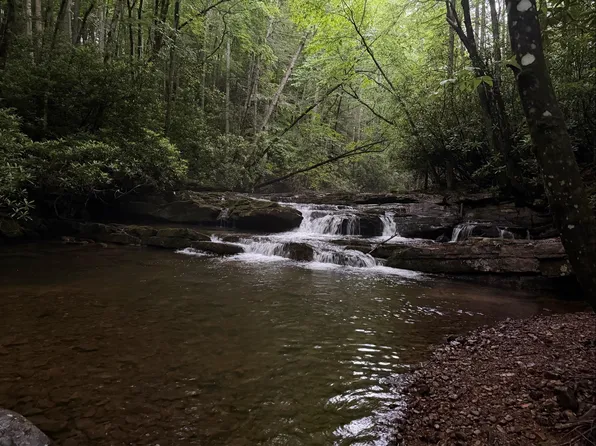 Tbd Cove Creek Rd, Bastian, VA 24314