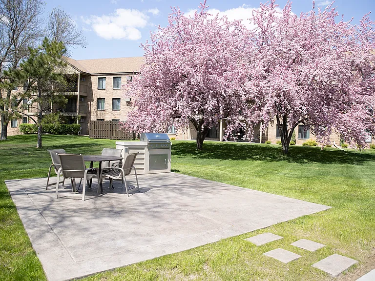 Community BBQ picnic areas