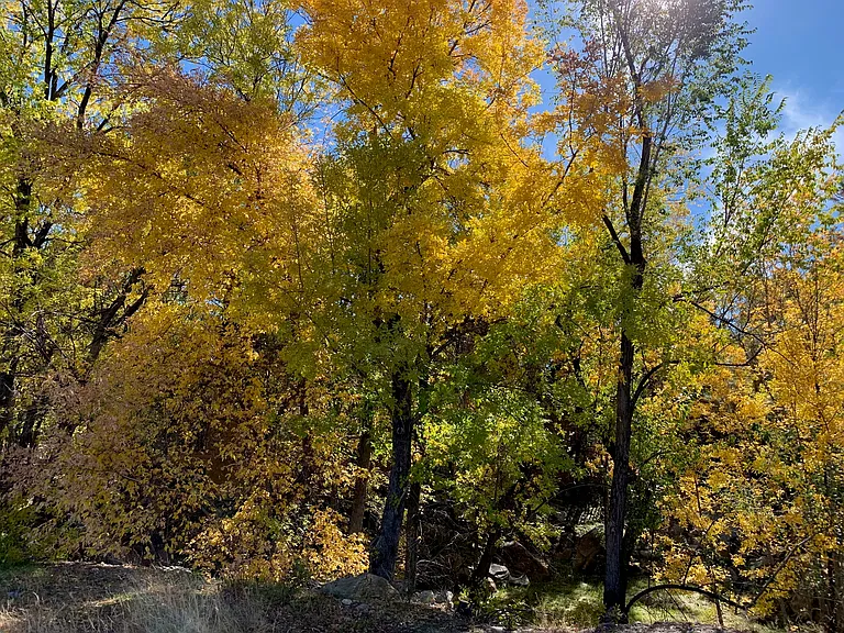 698 S Onyx Pass #B — Photo 5