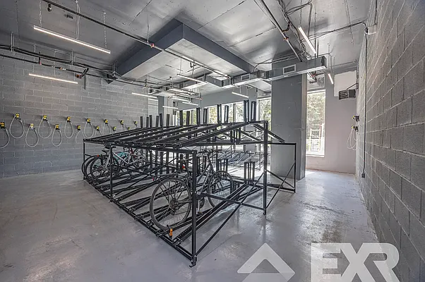 Rented by EXR | media 49