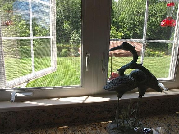 4th image of 6752 Loon Hollow Dr