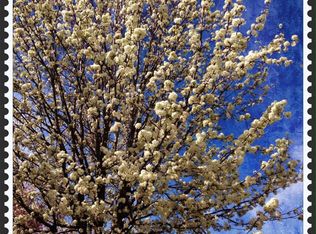 1065 Hoskins Ln, San Ramon, CA 94582