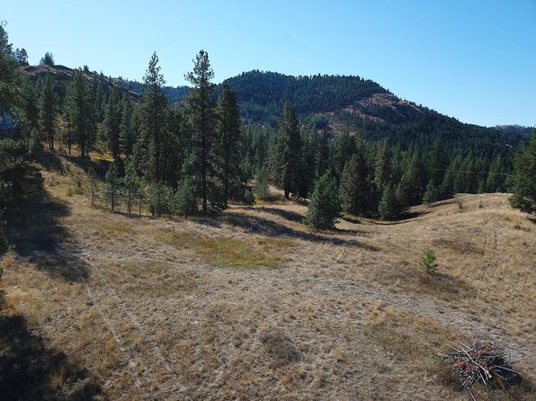 68 Jostin Ln, Malo, WA 99150
