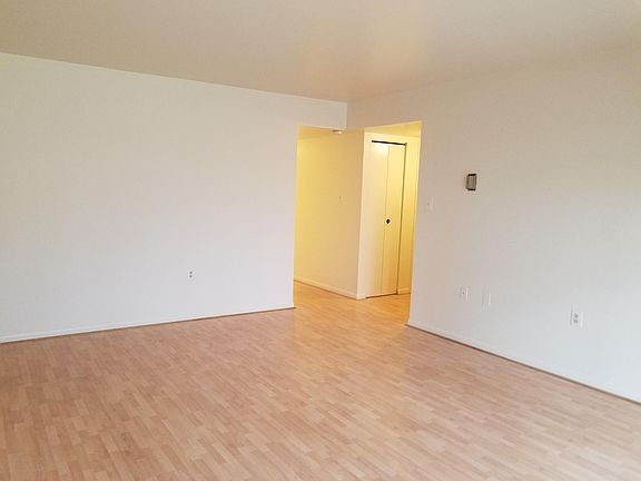 Large Bright Living Room