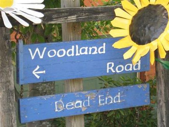 5th image of 122 Woodland Rd