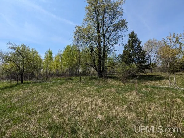 LOT 18 Willow St Lot 18, Gaastra, MI 49927