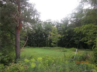 1719 N Creek Rd, Lake View, NY 14085