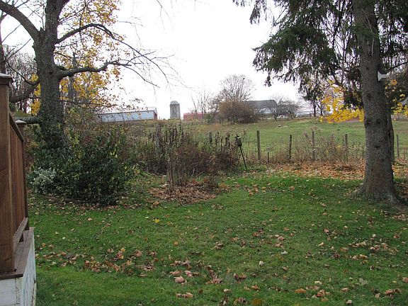 Back Deck & Yard View