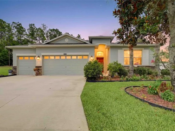 4606 Coppola Dr, Mount Dora, FL 32757