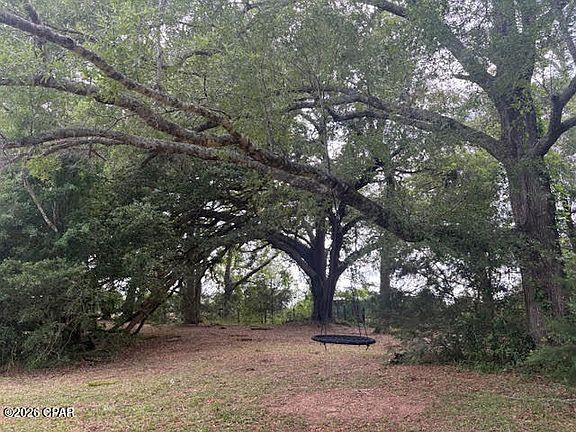 4th image of 3761 Highway 231