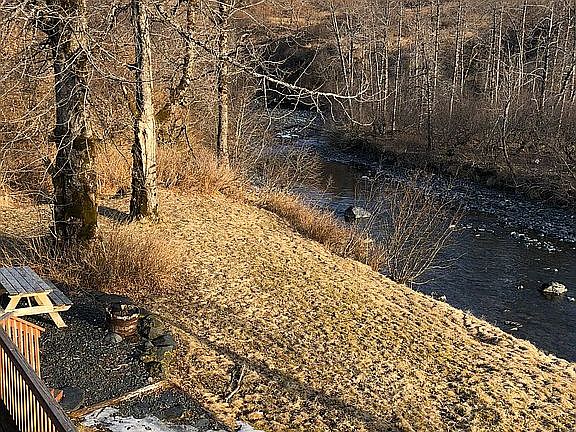 Back Yard / River