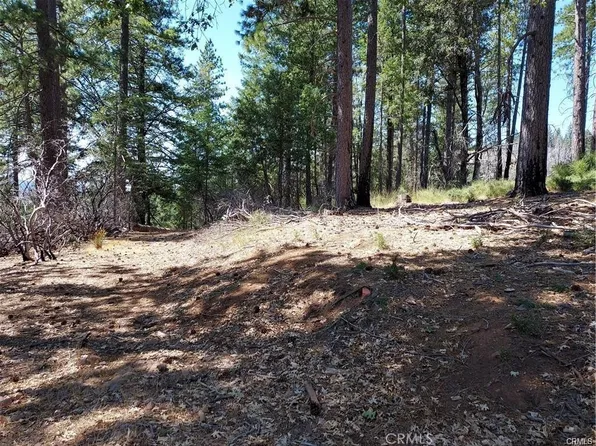 16102 Sugar Pine Ridge Rd #1, Cobb, CA 95426