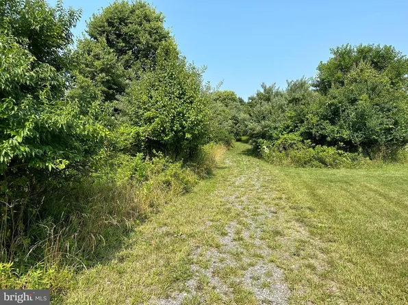 LOT 2 Apple Pie Ridge Rd, Winchester, VA 22603