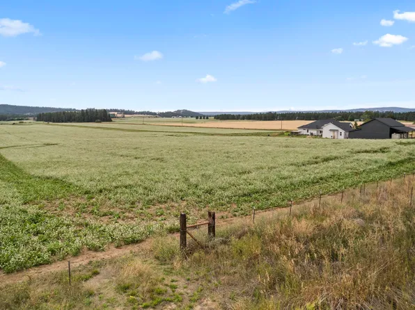 7302 E Big Meadows Rd, Chattaroy, WA 99003
