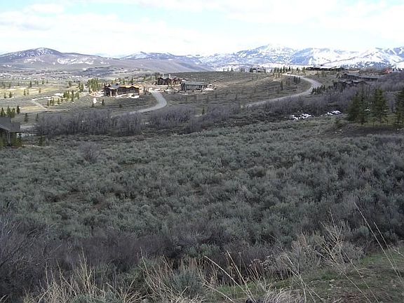 5th image of 7380 Purple Sage