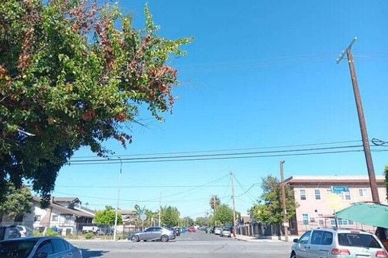 2nd image of 813 W 56th St