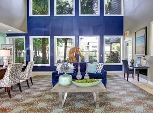 1210 El Camino Village Dr APT 3821, Houston, TX 77058